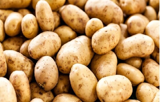 বিদেশ থেকে আলু আমদানির সিদ্ধান্ত সরকারের