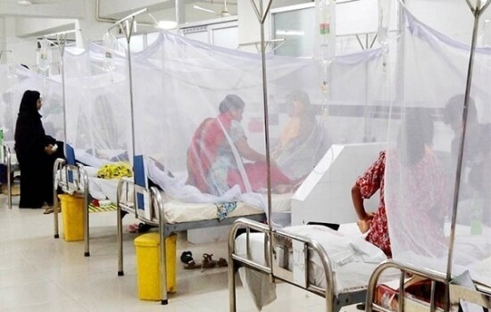 ডেঙ্গুতে আজও ১৭ জনের মৃত্যু, নতুন ভর্তি ১৭৩৪