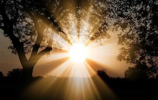 সবচেয়ে ছোট দিন আজ