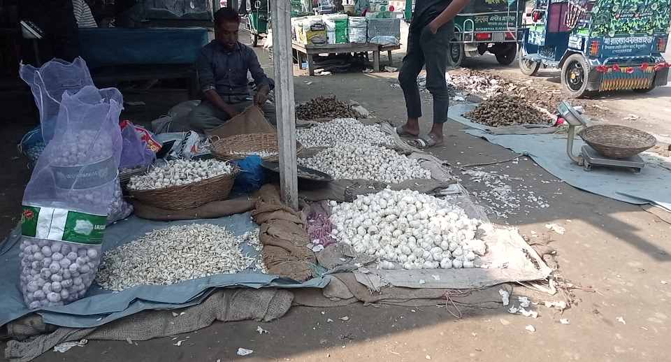 ঠাকুরগাঁওয়ে কাঁচামাল আড়তে নেই পেঁয়াজ