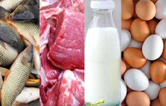 রমজানে ন্যায্যমূল্যে মাছ মাংস দুধ ডিম বিক্রি করবে সরকার