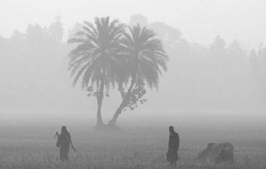 শৈত্যপ্রবাহ নিয়ে নতুন বার্তা আবহাওয়া অধিদপ্তরের