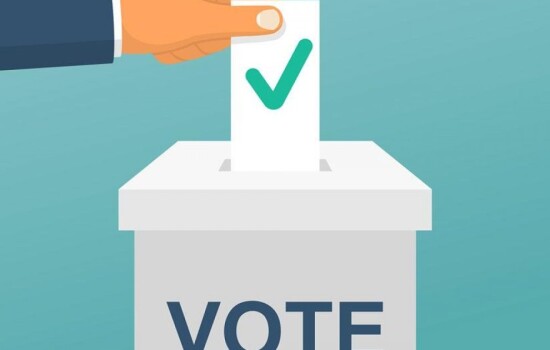 সাড়ে ৬ ঘণ্টায় ভোট পড়েছে ৩০ শতাংশের কম