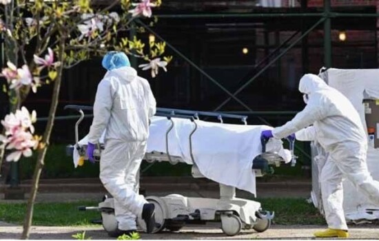 ২৪ ঘণ্টায় করোনায় মৃত্যু এক, শনাক্ত ৪৮