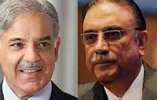 শাহবাজ প্রধানমন্ত্রী, জারদারি রাষ্ট্রপতি