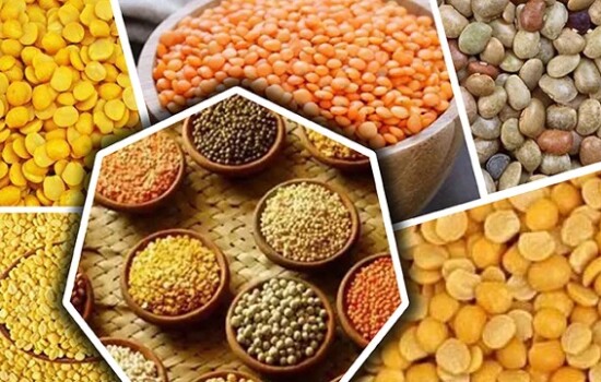 বিশ্ব ডাল দিবস আজ