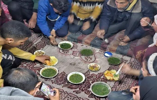 ইফতারে ঘাস খাচ্ছেন ফিলিস্তিনিরা!