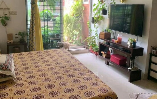 এসি ছাড়াই যে কাজে ঘরের তাপমাত্রা কমবে ৫ ডিগ্রি