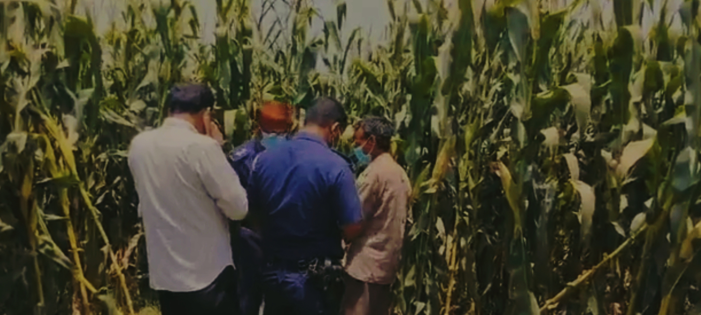 ঠাকুরগাঁওয়ে ভুট্টা ক্ষেত থেকে প্রতিবন্ধী ব্যক্তির লাশ উদ্ধার