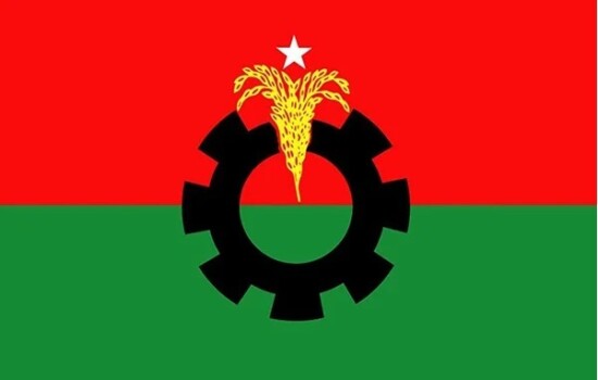 উপজেলা চেয়ারম্যান হলেন বিএনপির বহিষ্কৃত যেসব নেতা