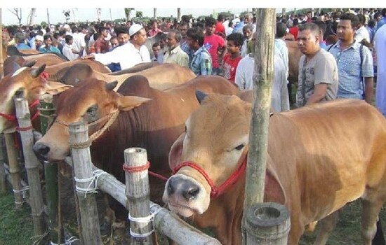 রাজধানীর যেসব এলাকায় বসবে কুরবানির হাট