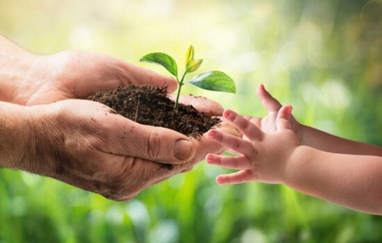 আজ বিশ্ব পরিবেশ দিবস, উদ্বোধন করবেন প্রধানমন্ত্রী