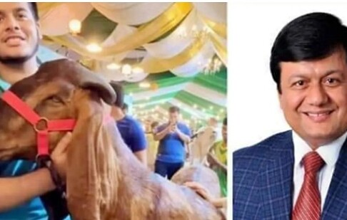 এনবিআর কর্মকর্তা মতিউর রহমানকে ওএসডি