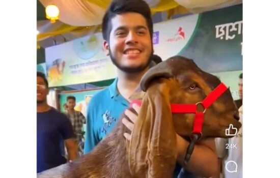 অর্ধকোটি টাকার কোরবানি দিয়ে ভাইরাল রাজস্ব কর্মকর্তার ছেলে