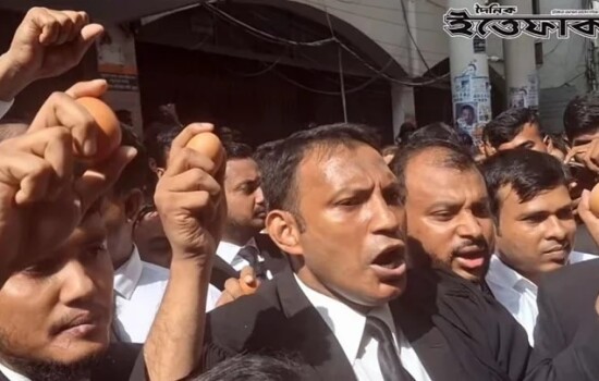 আনিসুল হক ও সালমান এফ রহমানের দিকে ডিম নিক্ষেপ