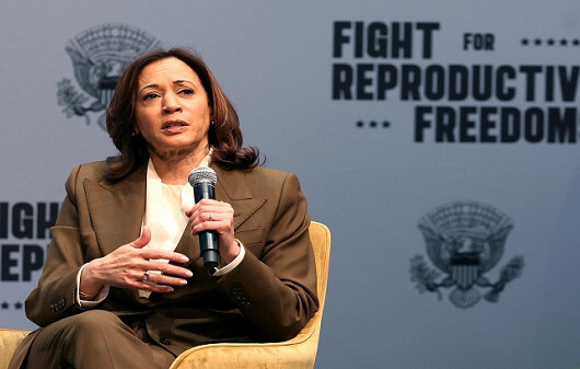 ডেমোক্রেটিক দল থেকে মনোনয়ন নিশ্চিত করলেন কমলা হ্যারিস