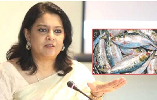 ‘উপহার নয়, ভারতে ইলিশ রফতানি করা হবে’