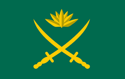 নির্বাহী ম্যাজিস্ট্রেটের ক্ষমতা পেলো সেনাবাহিনী