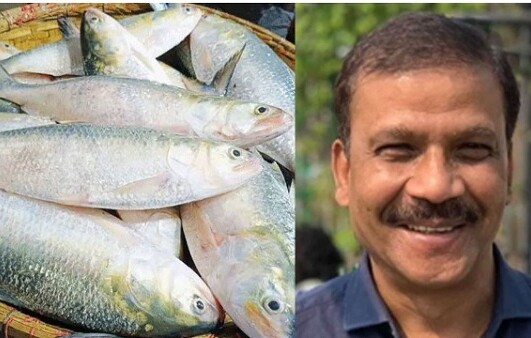 ভারতকে ইলিশ দেওয়ার সিদ্ধান্ত কেন, জানালেন আসিফ নজরুল