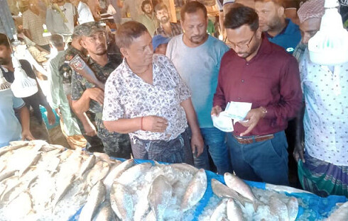 দাম ‘সহনীয় রাখতে’ ইলিশের আড়তে অভিযান