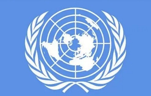 আসছে জাতিসংঘের তথ্যানুসন্ধান দল, থাকবে এক মাস