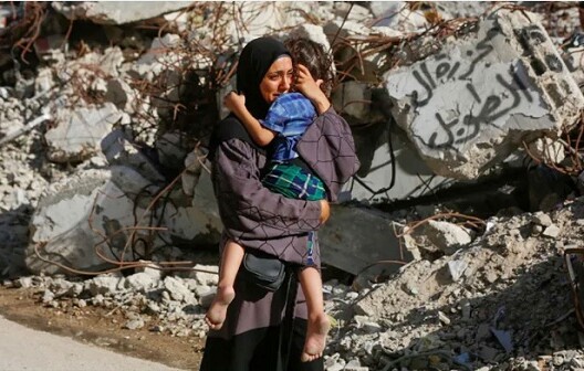 গাজায় ইসরায়েলি বর্বরতায় নিহত আরও অর্ধশতাধিক ফিলিস্তিনি