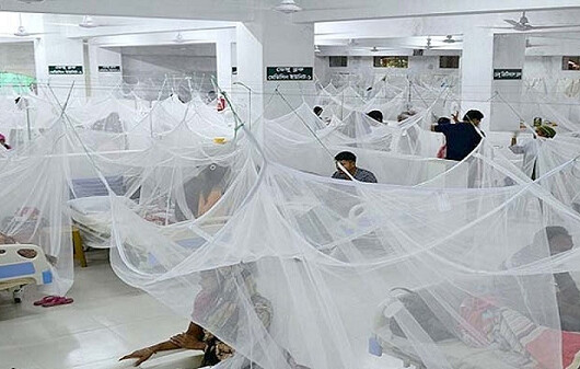 ডেঙ্গুতে মৃত্যু ২শ’ ছুঁইছুঁই, ৪০ হাজার ছাড়ালো ভর্তি রোগী