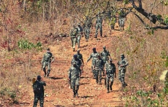 ভারতে নিরাপত্তা বাহিনীর অভিযানে ৩৬ মাওবাদী যোদ্ধা নিহত