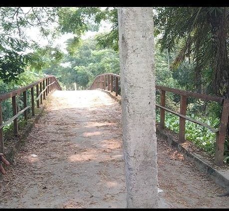 পটুয়াখালী জেলা আমতলীতে নিষেধাজ্ঞা অমান্য করে ঝুকিপূর্ণ ব্রিজ দিয়ে যানবাহন চলাচল