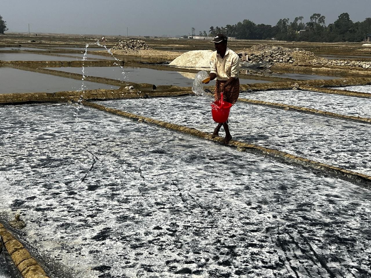 বিসিক-এর উদ্যোগে বিশ্ব আয়োডিন দিবস উদযাপন