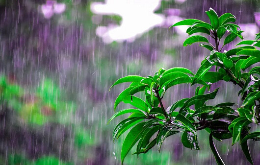 ঢাকাসহ শনিবার যেসব জায়গায় বৃষ্টি হতে পারে