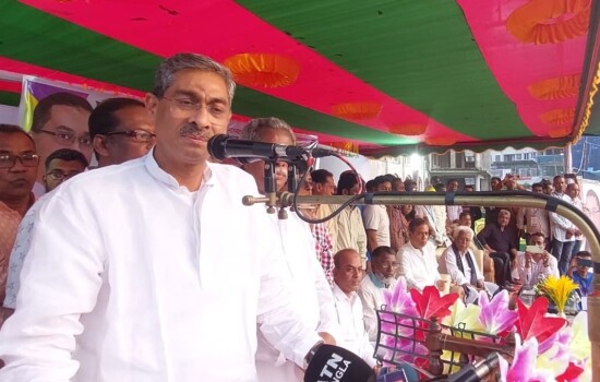 আগামী মার্চ-এপ্রিলে নির্বাচন দিতে হবে : এ্যানি