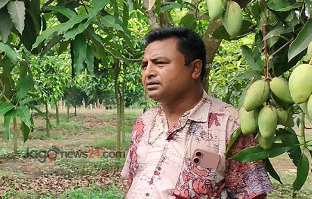 অসময়ের আম, ৩ মাসে সোয়া কোটি টাকা বিক্রি