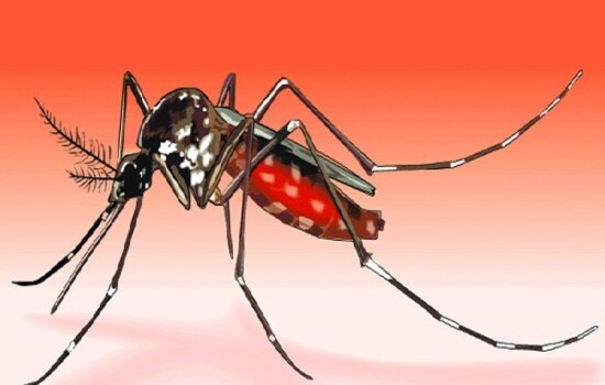 ডেঙ্গু আক্রান্তে আজ ৫ জনের মৃত্যু, নতুন ভর্তি ১২২১