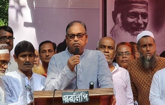 আমরাও চাই শেখ হাসিনা আসেন, ঢুকে পড়েন: দুদু