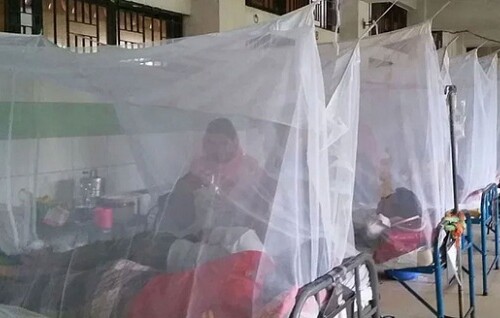 ১০ দিনেই ডেঙ্গু আক্রান্ত সাড়ে ১০ হাজার, ৫৮ জনের মৃত্যু