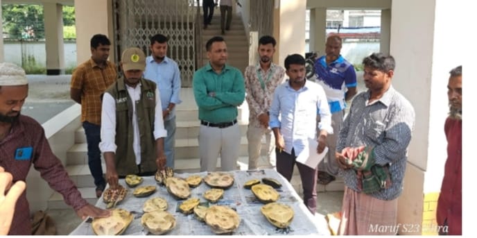 পটুয়াখালী জেলায় গলাচিপায় কচ্ছপ সহ আটক ১