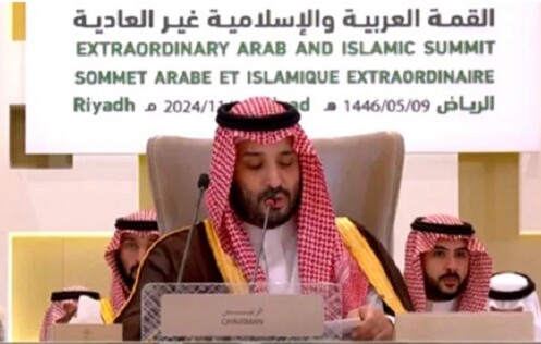 ফিলিস্তিনি জনগণের প্রতি সমর্থন আরব-ইসলামি নেতাদের