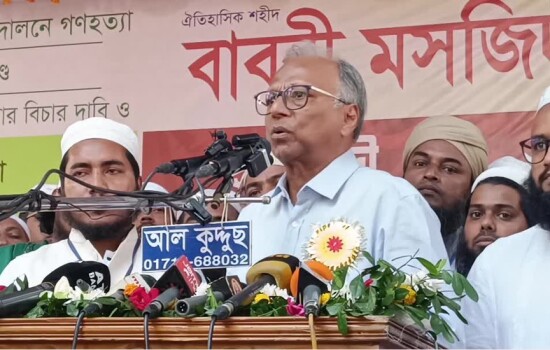 ভারত বাংলাদেশকে স্বাধীন দেশ মনে করে না: মাহমুদুর রহমান