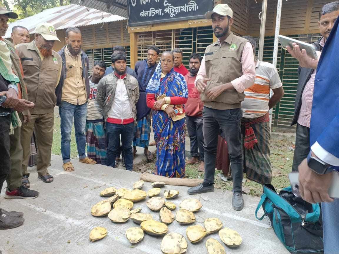 পটুয়াখালী জেল গলাচিপায় কচ্ছপ পাচারের সময় ১ নারী আটক