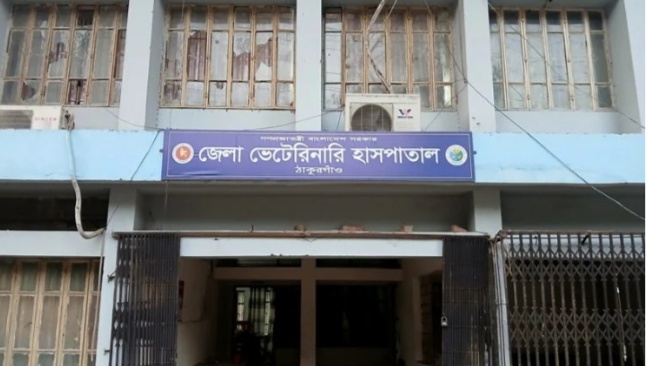 ঠাকুরগাঁওয়ে নামেই ভেটেরিনারি হাসপাতাল, চিকিৎসা সেবা নেই