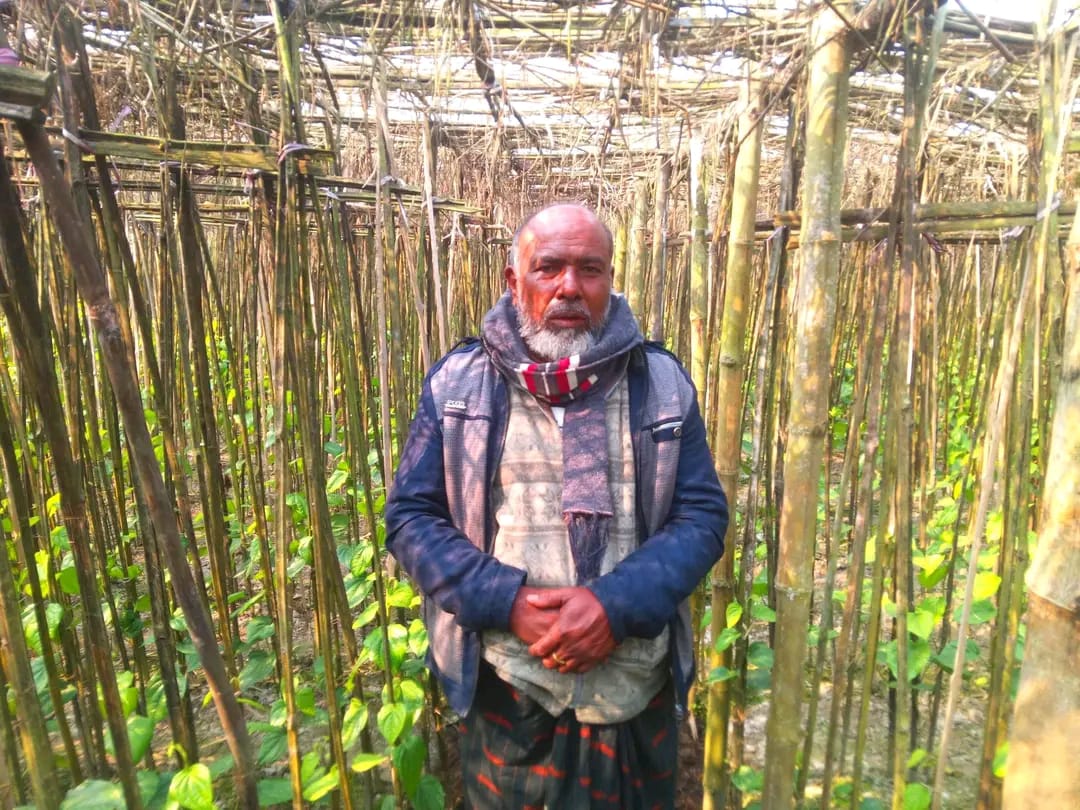 গাইবান্ধার পলাশবাড়ীতে একজন পানচাষীর সাফল্যে তিনি বড়ই আনন্দিত