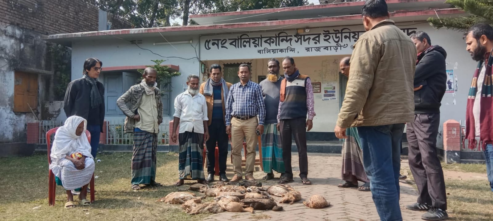 বালিয়াকান্দিতে বিষ প্রয়োগে ২১ টি হাঁস মারাযাবার অভিযোগ