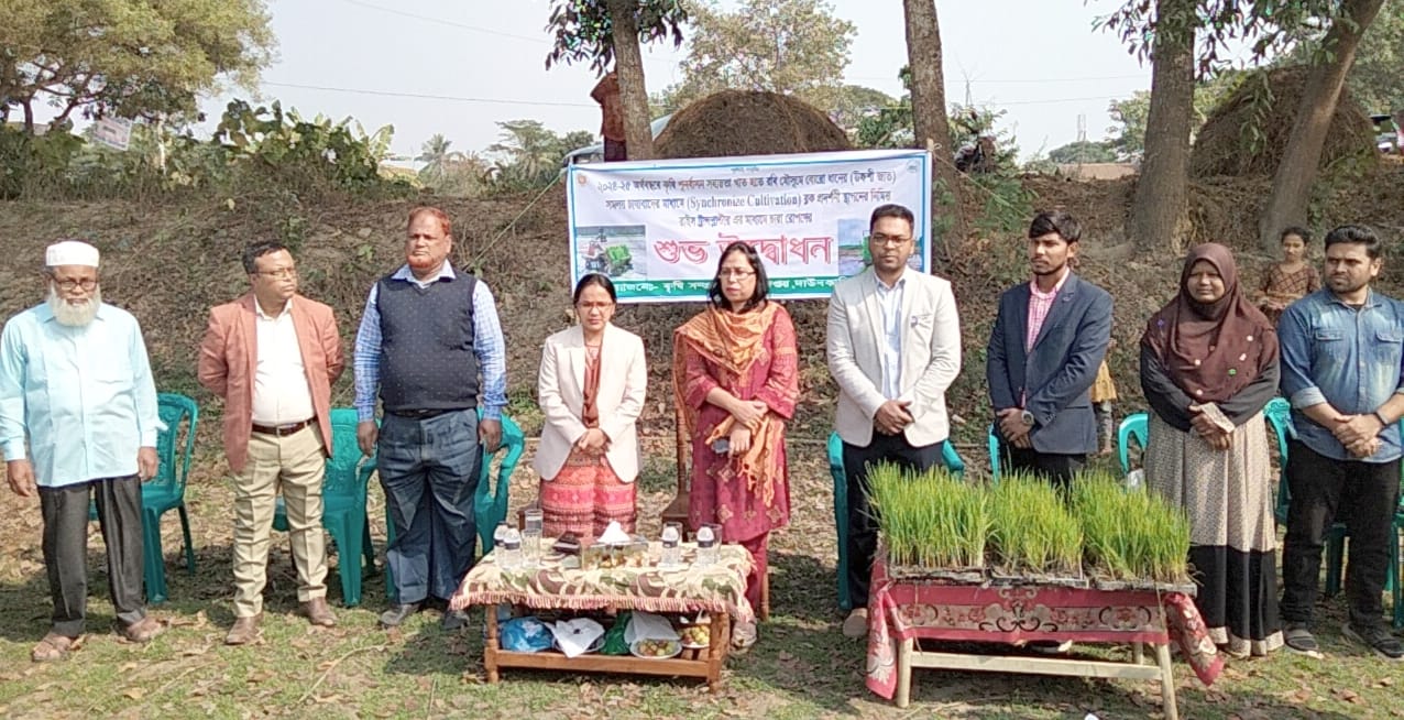 দাউদকান্দিতে রাইস ট্রান্সপ্লান্টারের মাধ্যমে ধানের চারা রোপন কর্মসূচির উদ্বোধন