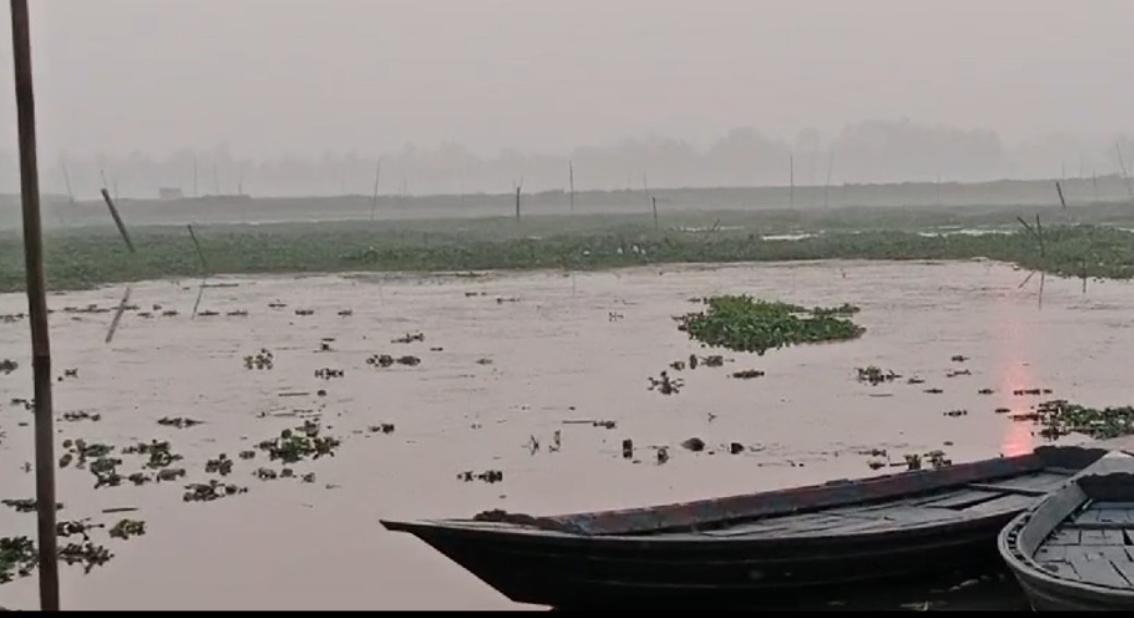 কালিহাতীতে চারান বিল: বিলুপ্তির পথে ঐতিহ্যের সাক্ষী