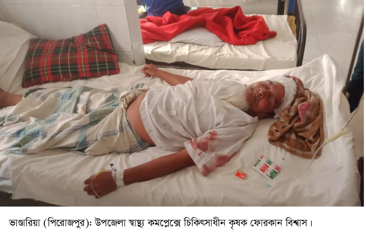 যুবলীগ নেতার নেতৃত্বে হামলার অভিযোগ ভাণ্ডারিয়ায় কৃষককে কুপিয়ে জখম