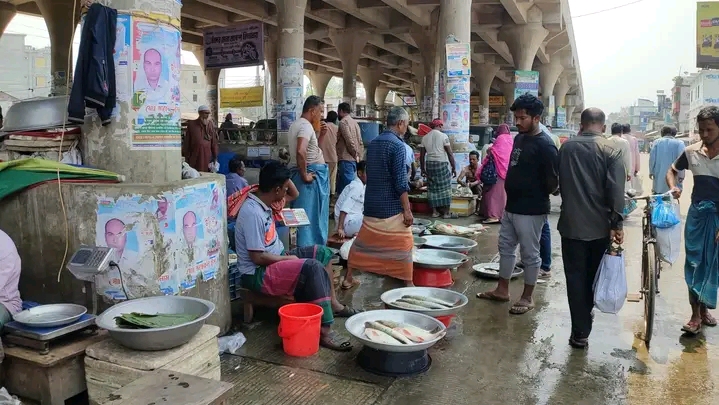 মহাস্থান ফুটওভার ব্রিজ দখল দারাত্বের শেষ কোথায়?