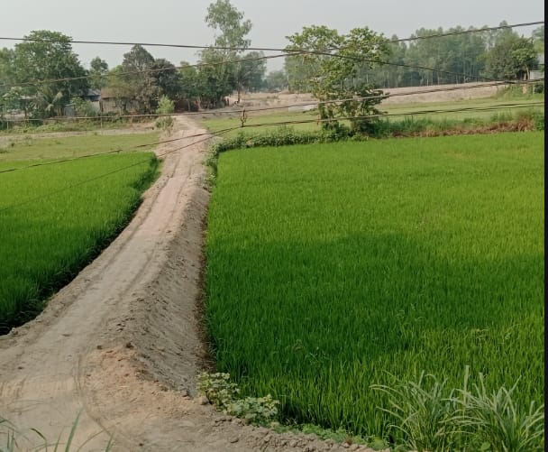 কালিহাতীর পাছ চারান এলাকায় নদী পাড়ের মানুষদের স্বপ্নের রাস্তা বাস্তবায়নে আনন্দের জোয়ার