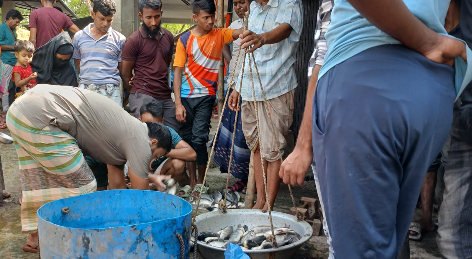 হরেক রকমের মাছের সমারোহ এ কেশর হাট বাজার