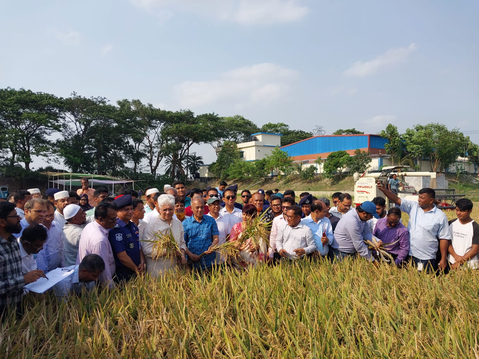 বোরো ধানের ফলন সন্তোষজনক- কৃষি উপদেষ্টা